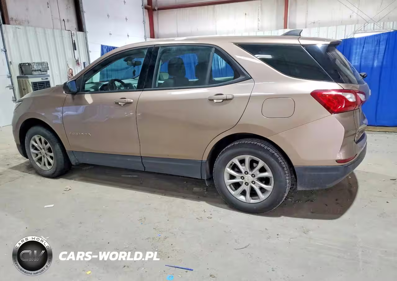 2019 Chevrolet Equinox Ls VIN:2GNAXSEV1K6145310 - 2