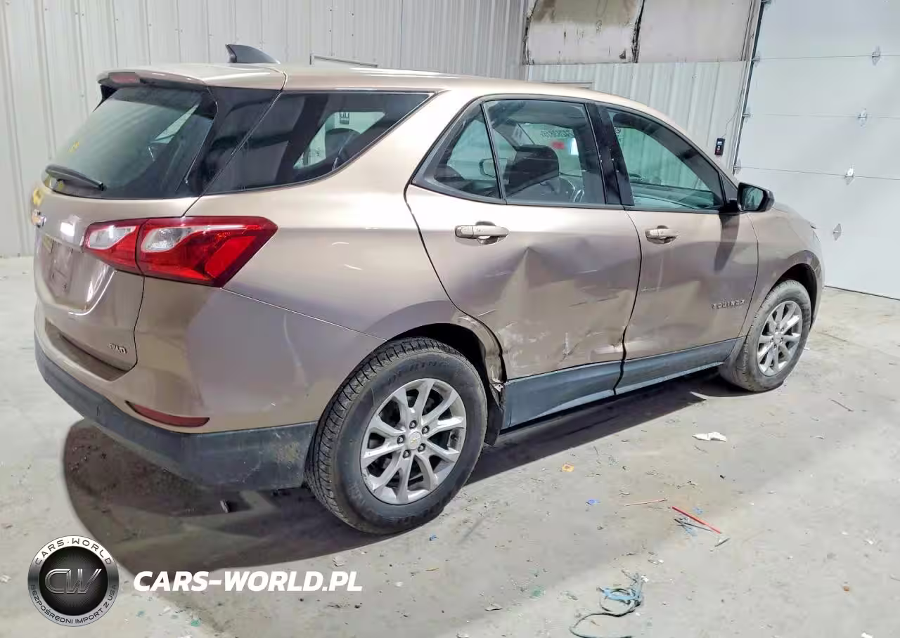 2019 Chevrolet Equinox Ls VIN:2GNAXSEV1K6145310 - 3