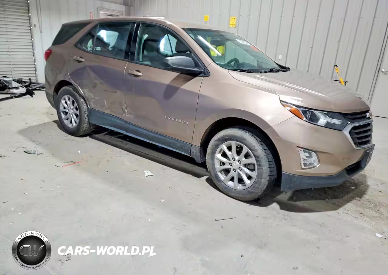 2019 Chevrolet Equinox Ls VIN:2GNAXSEV1K6145310 - 4