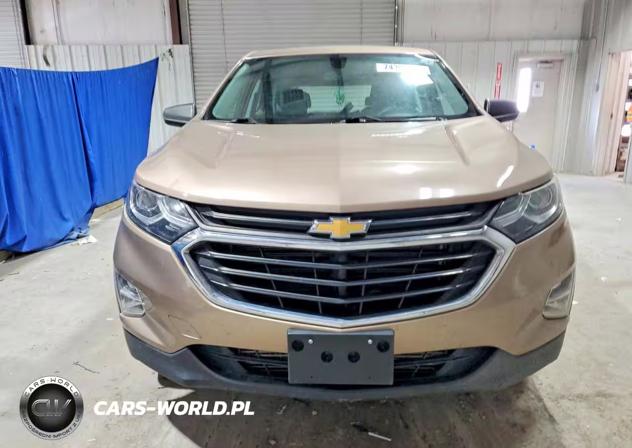 2019 Chevrolet Equinox Ls VIN:2GNAXSEV1K6145310 - 5