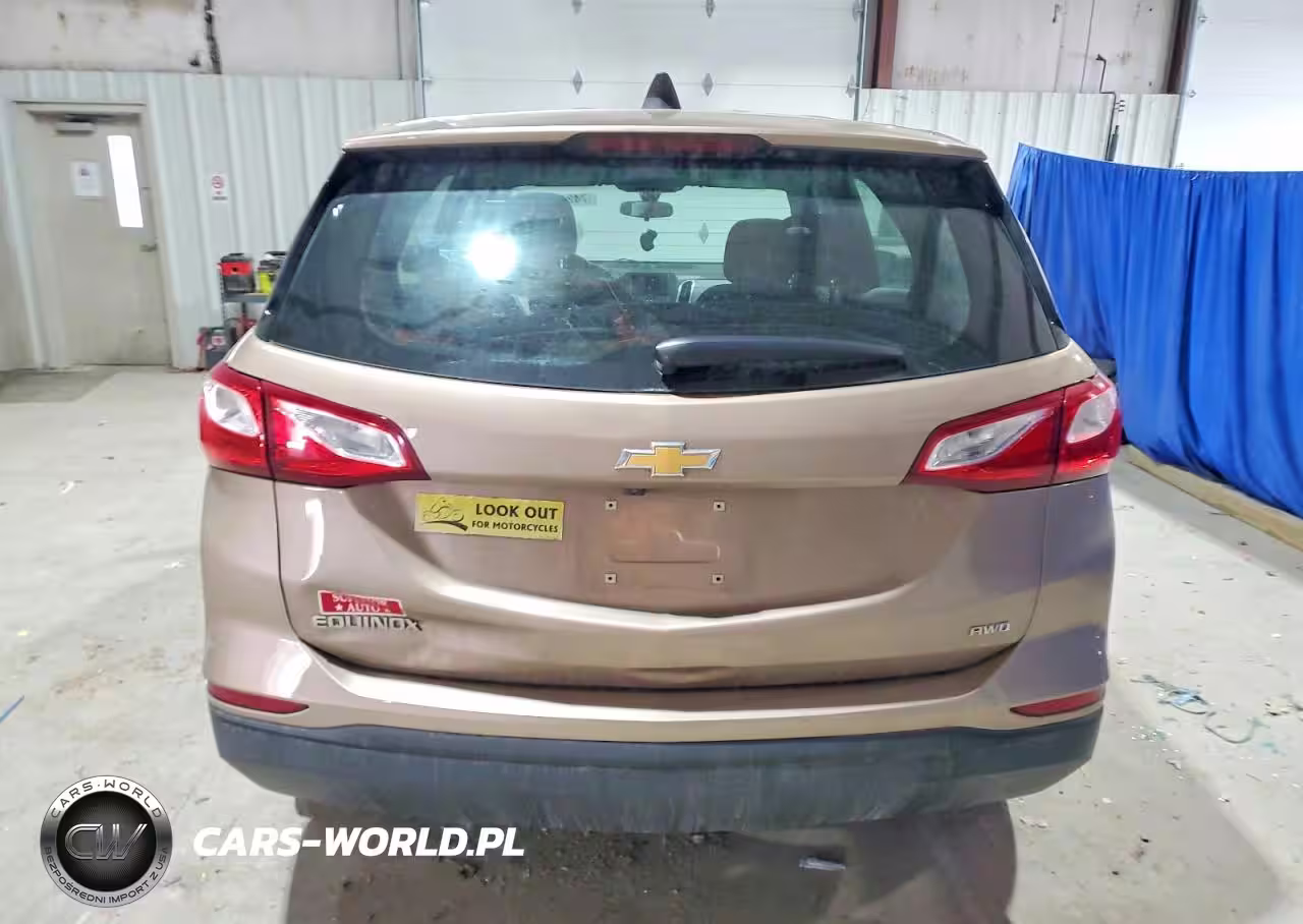 2019 Chevrolet Equinox Ls VIN:2GNAXSEV1K6145310 - 6