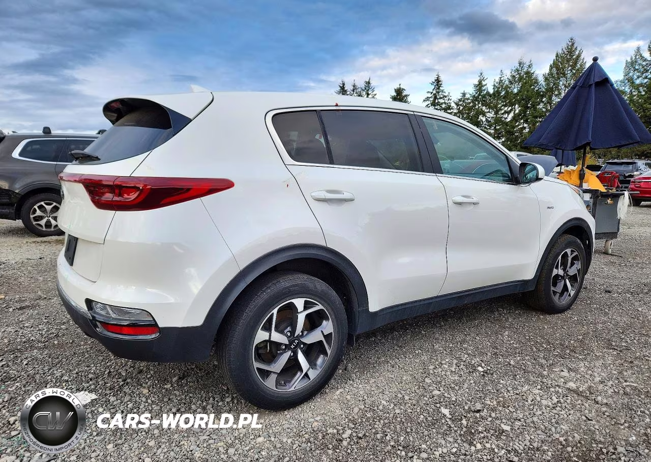 2022 Kia Sportage Lx VIN:KNDPMCAC1N7001024 - 3