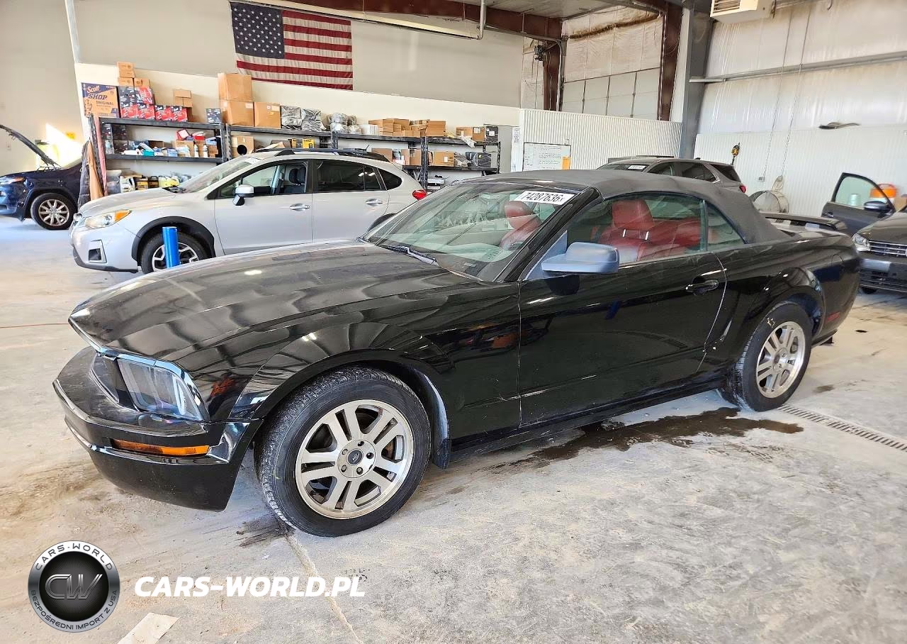 2005 Ford Mustang Gt VIN:1ZVHT85H455226315 - 1
