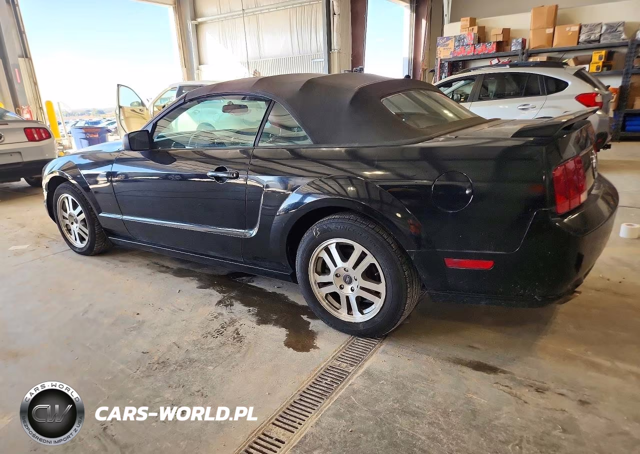 2005 Ford Mustang Gt VIN:1ZVHT85H455226315 - 2