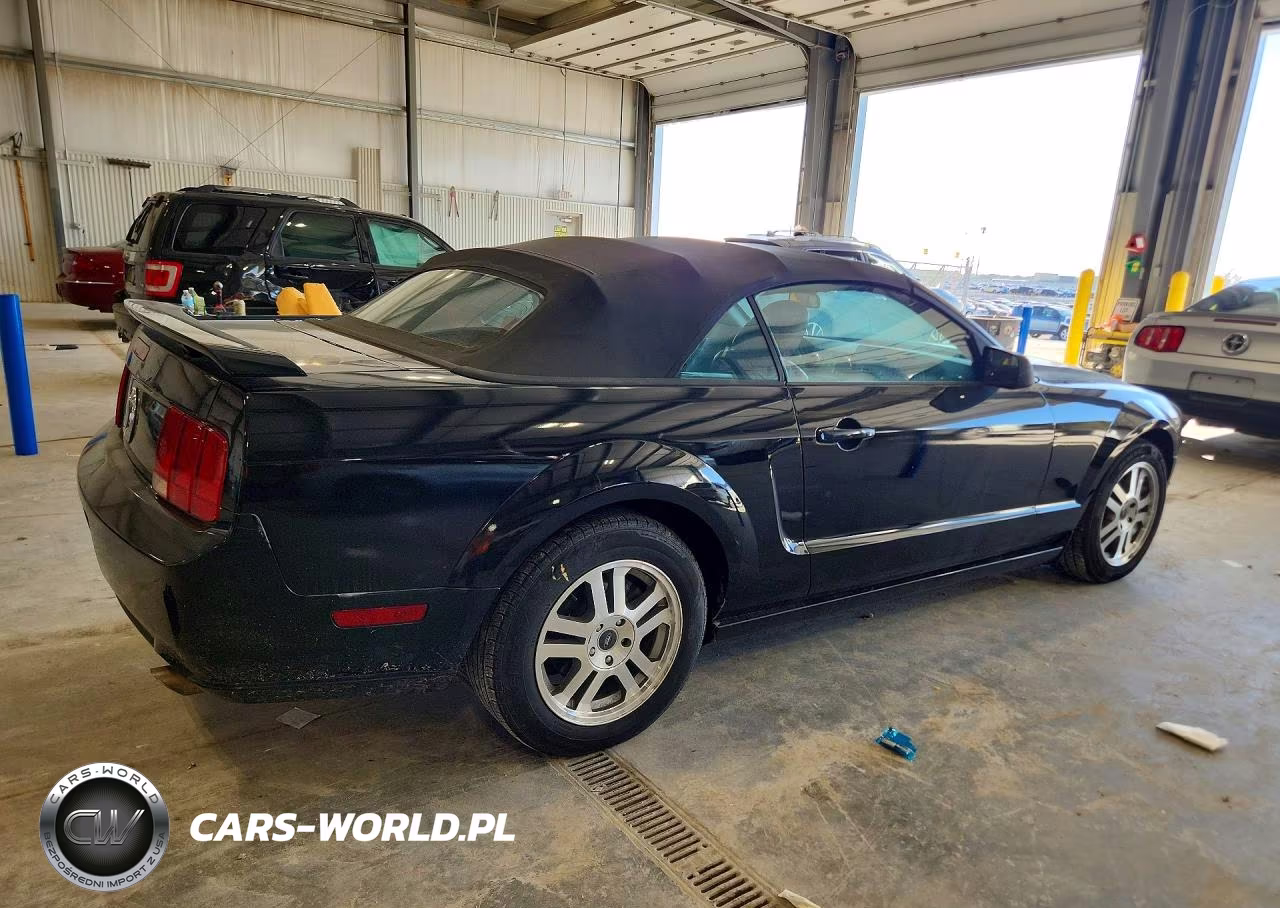 2005 Ford Mustang Gt VIN:1ZVHT85H455226315 - 3