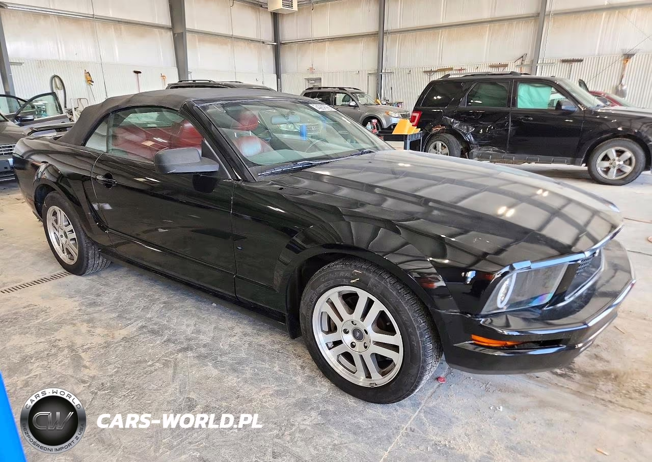 2005 Ford Mustang Gt VIN:1ZVHT85H455226315 - 4