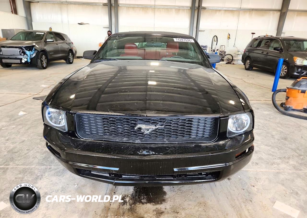 2005 Ford Mustang Gt VIN:1ZVHT85H455226315 - 5