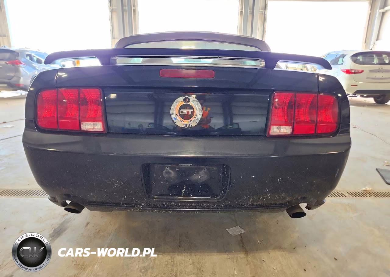 2005 Ford Mustang Gt VIN:1ZVHT85H455226315 - 6