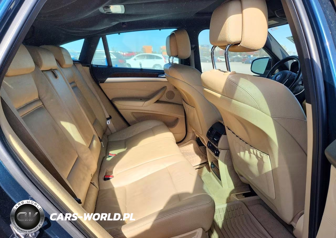 2013 BMW X6 xDrive35I VIN:5UXFG2C54DL787689 - 10