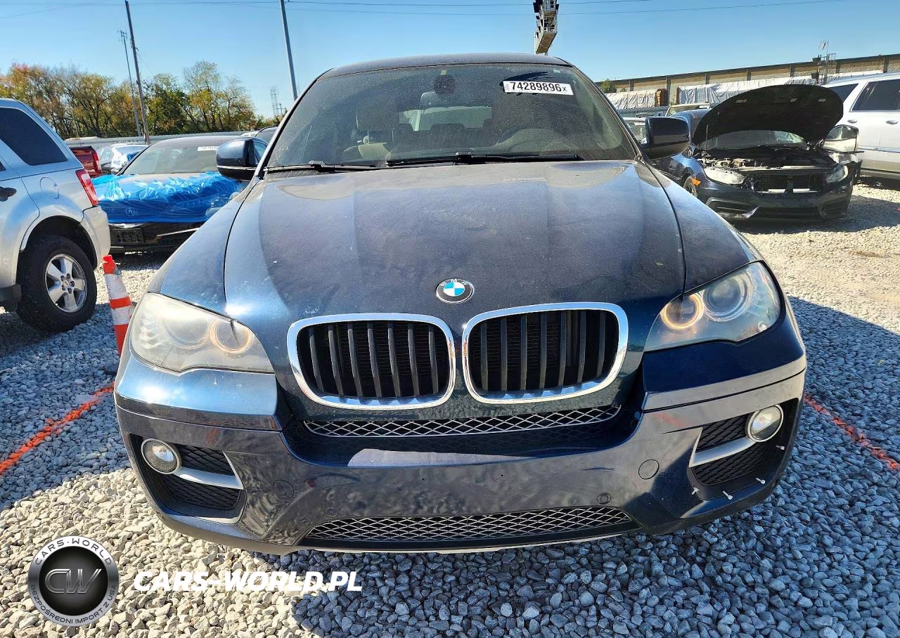 2013 BMW X6 xDrive35I VIN:5UXFG2C54DL787689 - 5