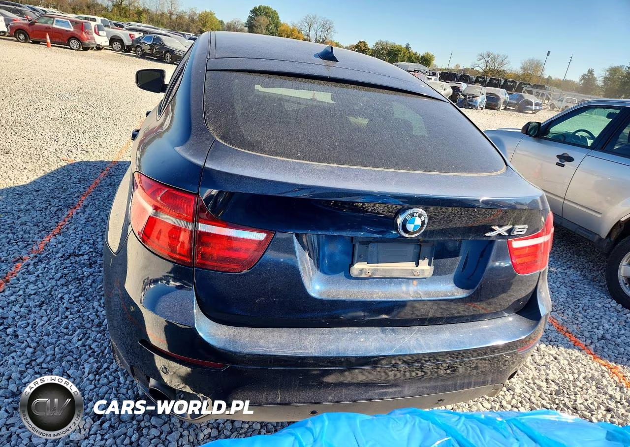 2013 BMW X6 xDrive35I VIN:5UXFG2C54DL787689 - 6