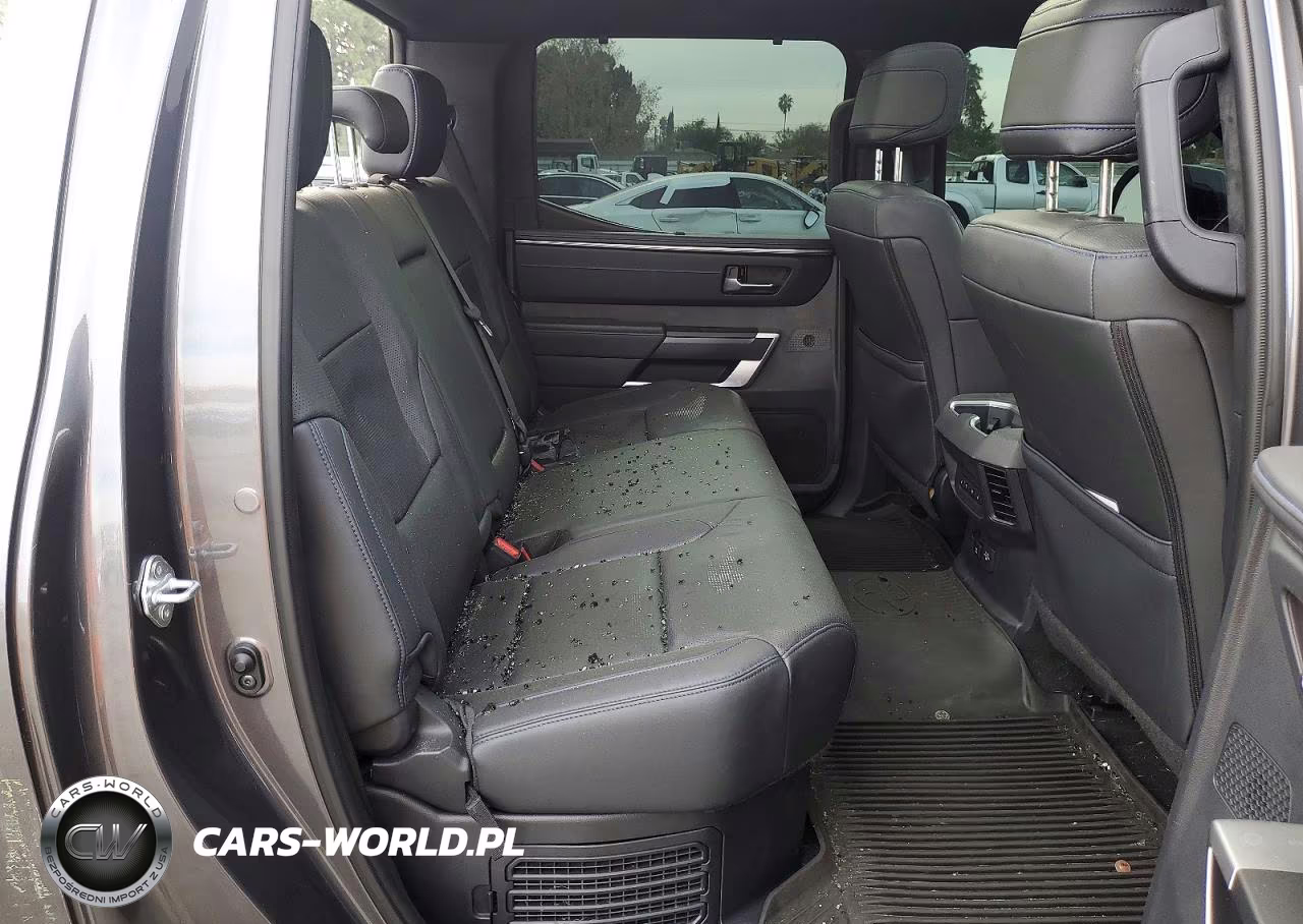 2024 Toyota Tundra Crewmax Platinum VIN:5TFNC5DB2RX061957 - 10