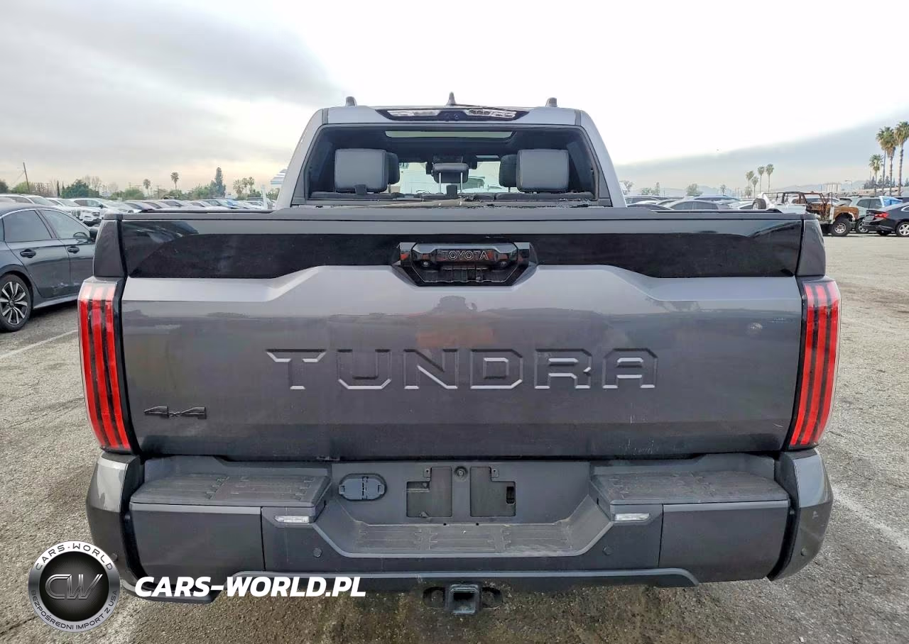 2024 Toyota Tundra Crewmax Platinum VIN:5TFNC5DB2RX061957 - 6