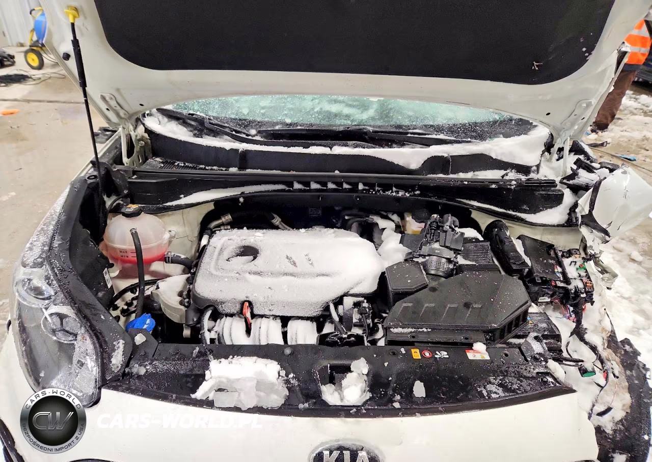 2022 Kia Sportage Lx VIN:KNDPMCAC7N7000847 - 12