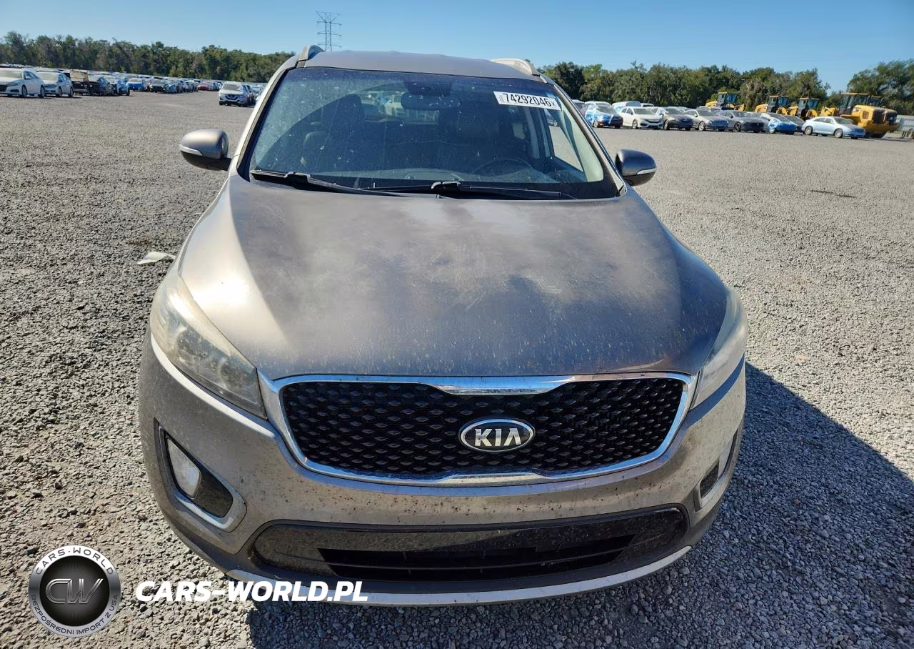 2016 Kia Sorento Ex VIN:5XYPH4A18GG029398 - 5