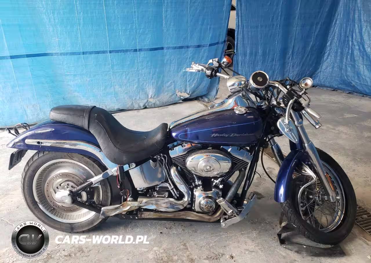 2006 Harley-Davidson Fxstdi