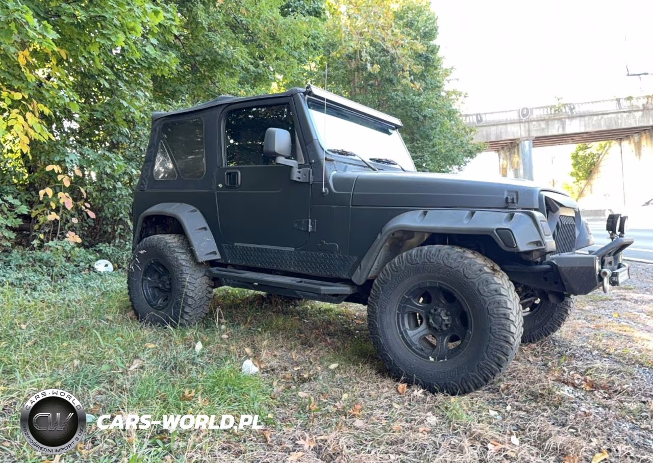 2006 Jeep Wrangler X VIN:1J4FA39S56P774087 - 1