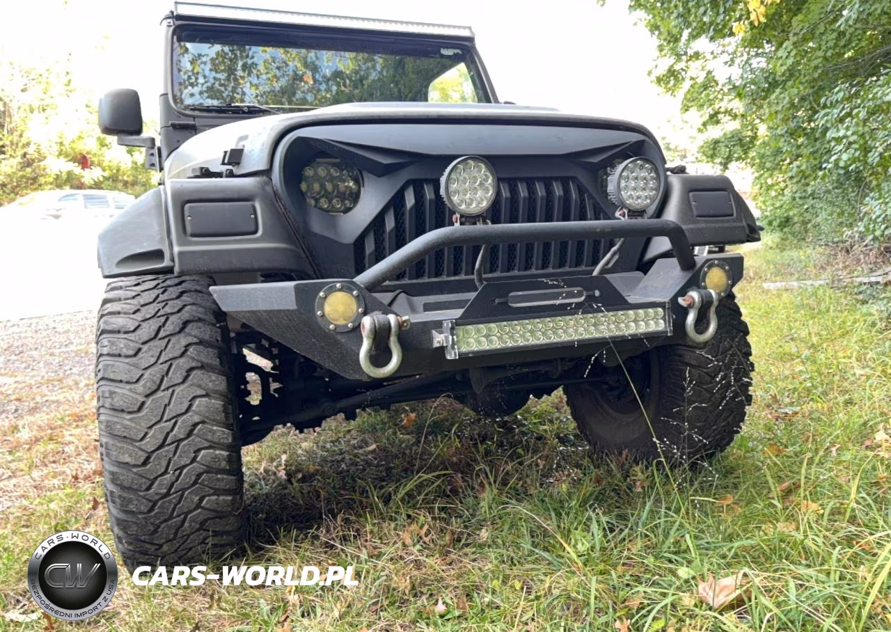 2006 Jeep Wrangler X VIN:1J4FA39S56P774087 - 11