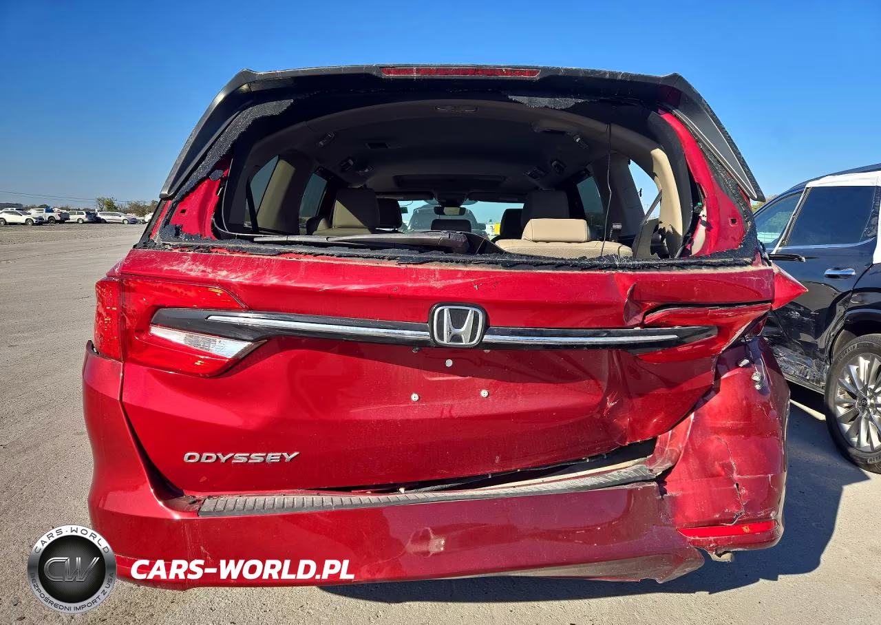 2024 Honda Odyssey Exl VIN:5FNRL6H63RB045393 - 6