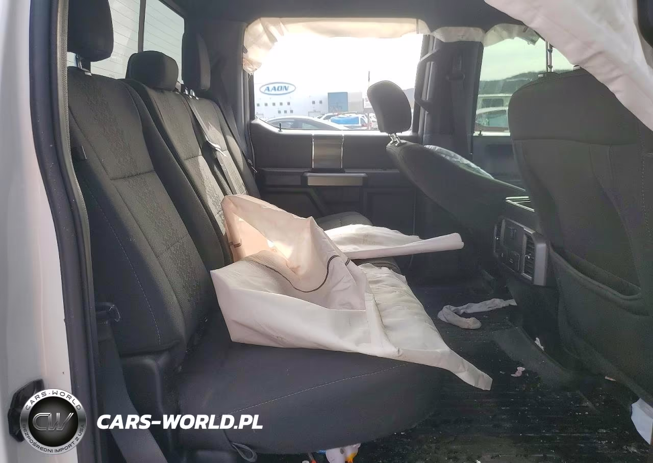 2019 Ford F150 Supercrew VIN:1FTEW1EPXKFA33653 - 10