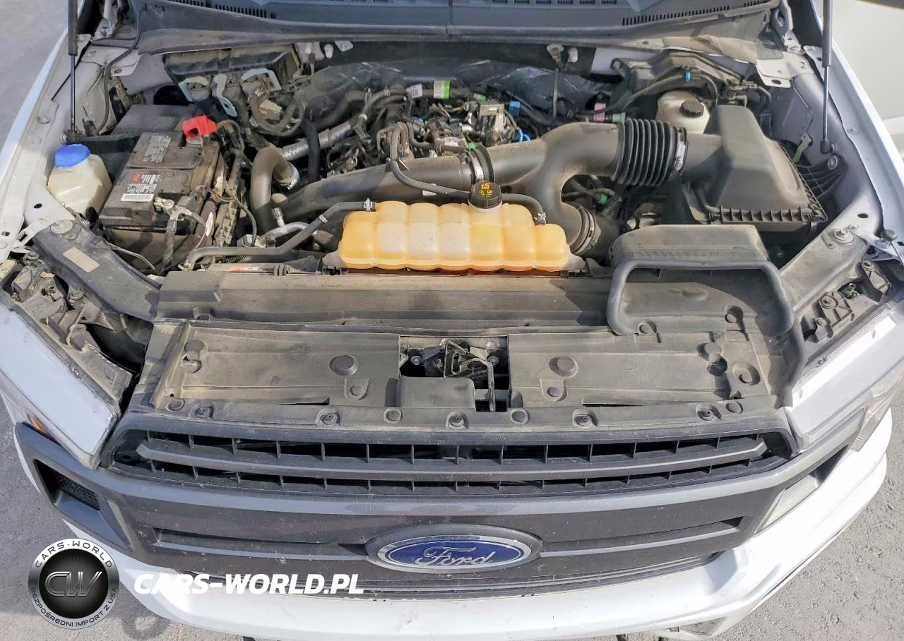 2019 Ford F150 Supercrew VIN:1FTEW1EPXKFA33653 - 11