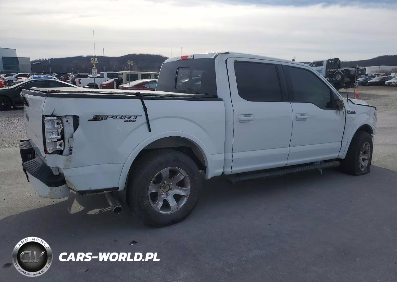 2019 Ford F150 Supercrew VIN:1FTEW1EPXKFA33653 - 3
