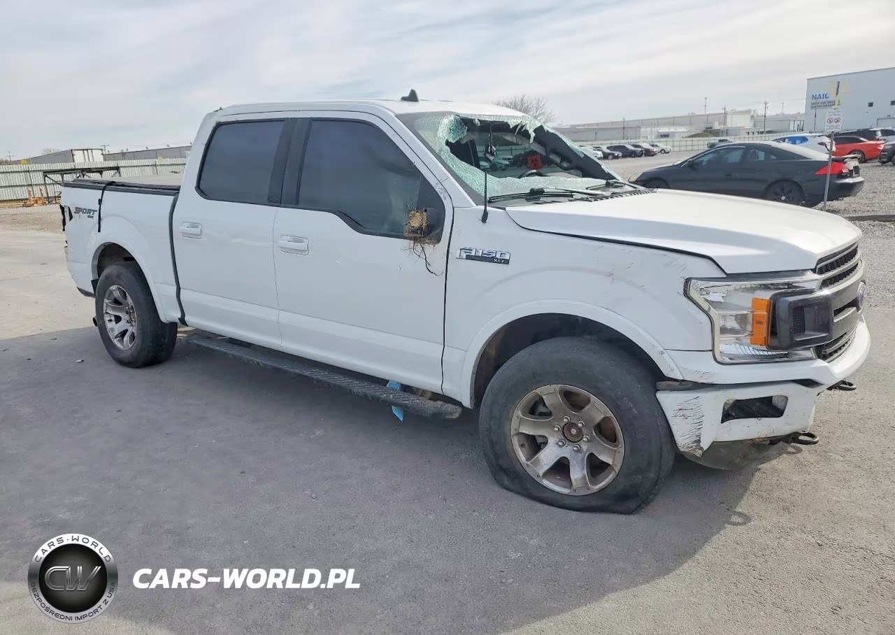 2019 Ford F150 Supercrew VIN:1FTEW1EPXKFA33653 - 4