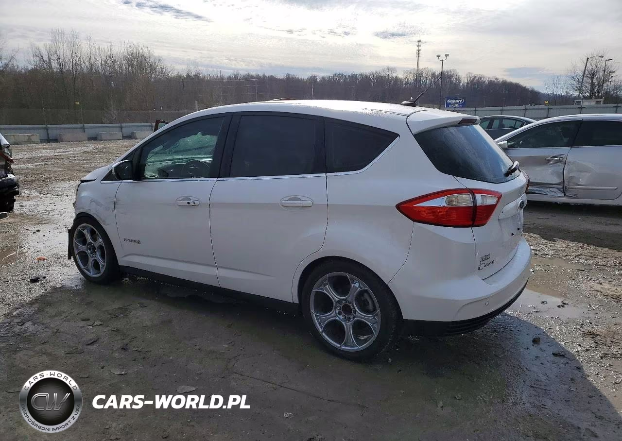 2013 Ford C-Max Sel VIN:1FADP5BU1DL523029 - 2