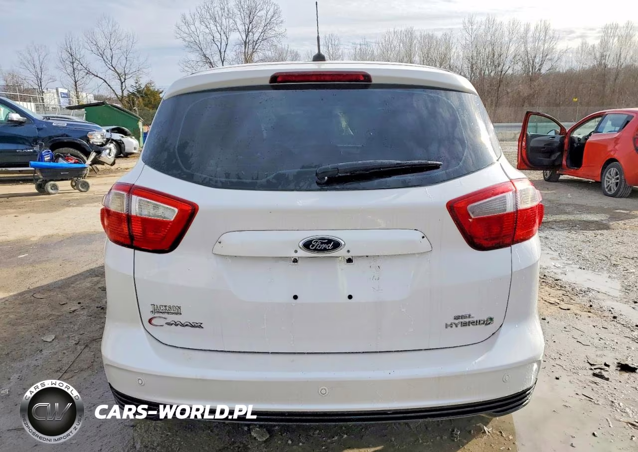 2013 Ford C-Max Sel VIN:1FADP5BU1DL523029 - 6