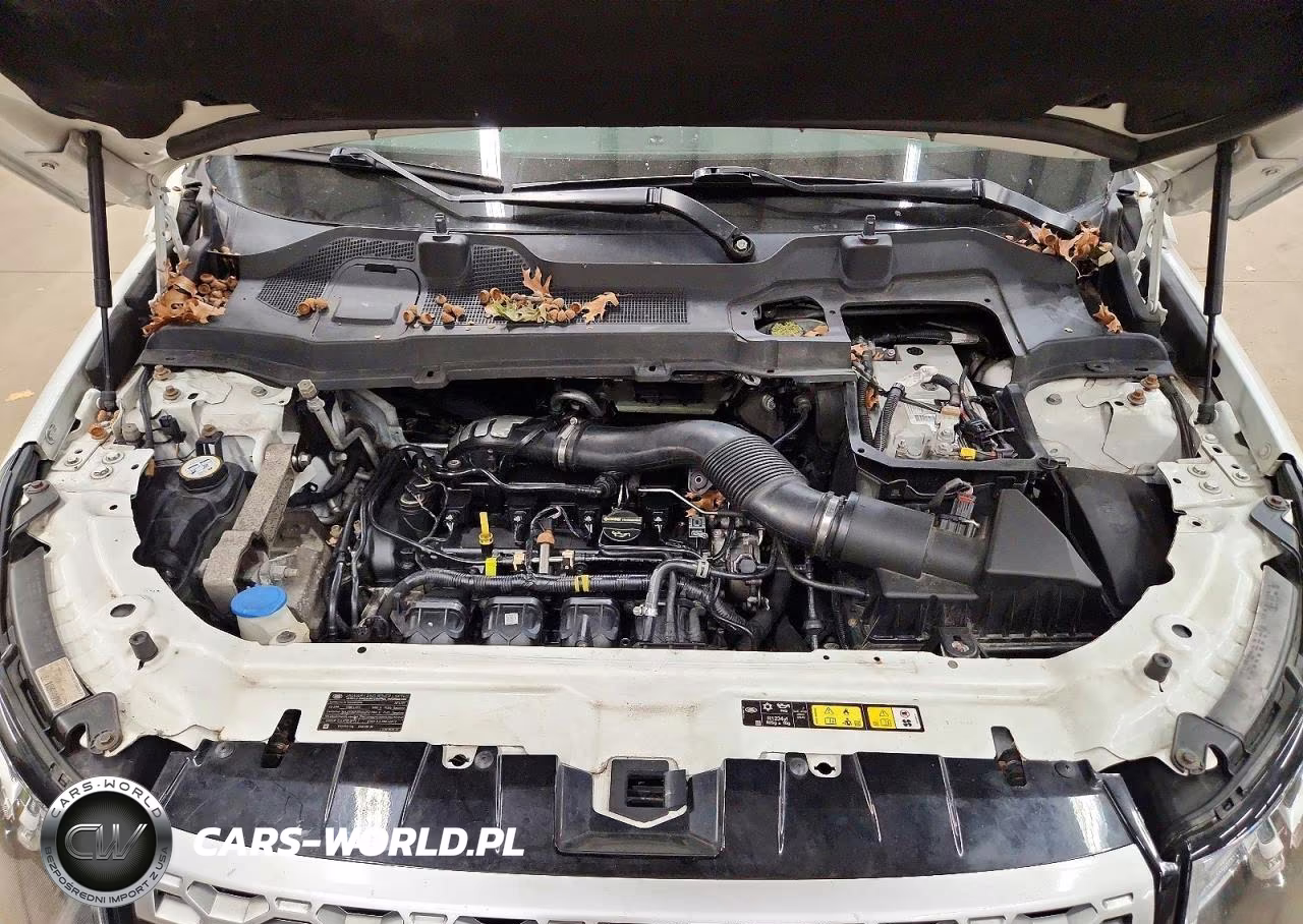 2016 Land Rover Discovery Sport Hse VIN:SALCR2BG1GH556041 - 12