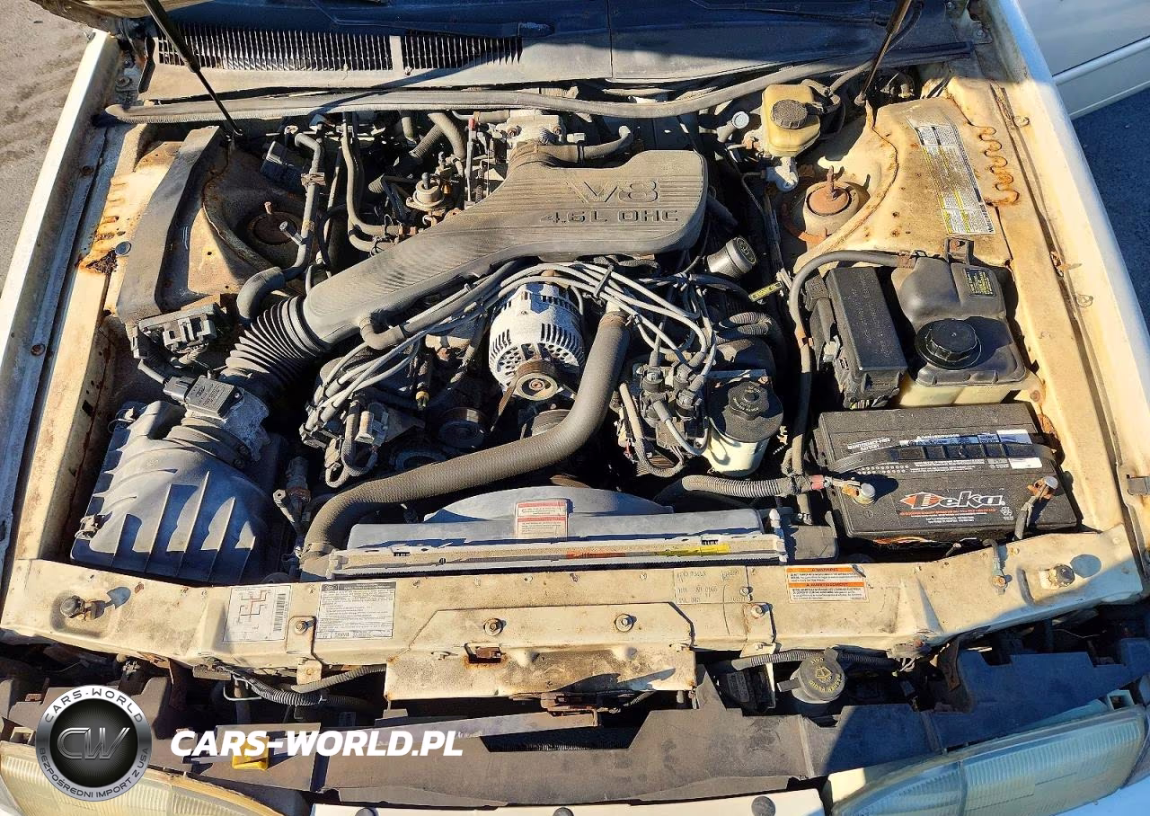 1995 Ford Thunderbird Lx VIN:1FALP62W4SH156257 - 11