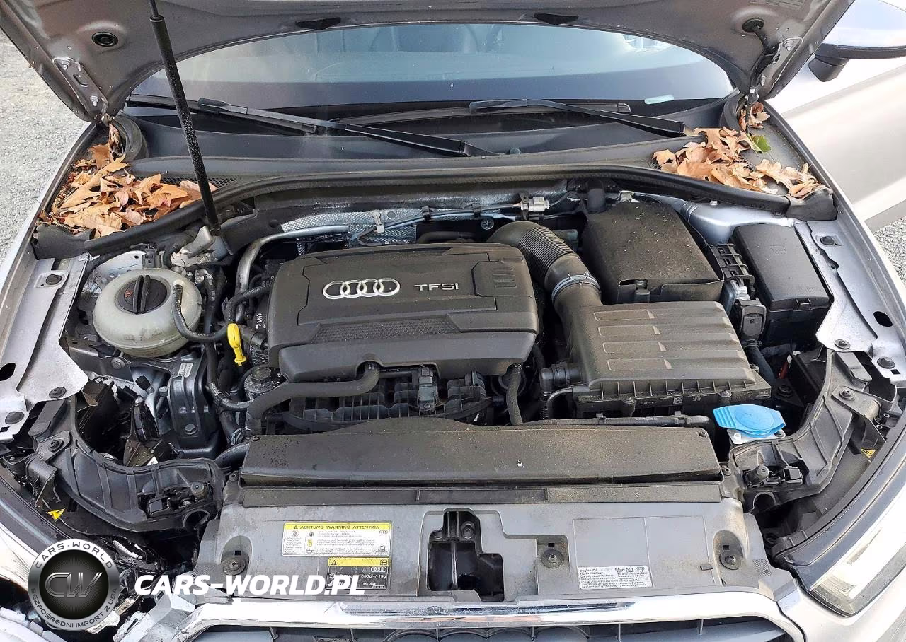 2015 Audi A3 Premium Plus VIN:WAUEFGFF4F1127505 - 11