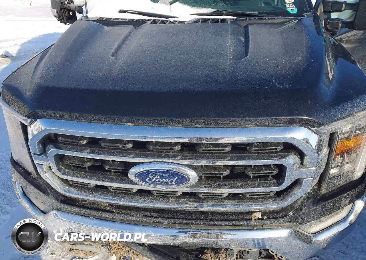 2021 Ford F150 Supercrew VIN:1FTFW1E53MFC79045 - 11