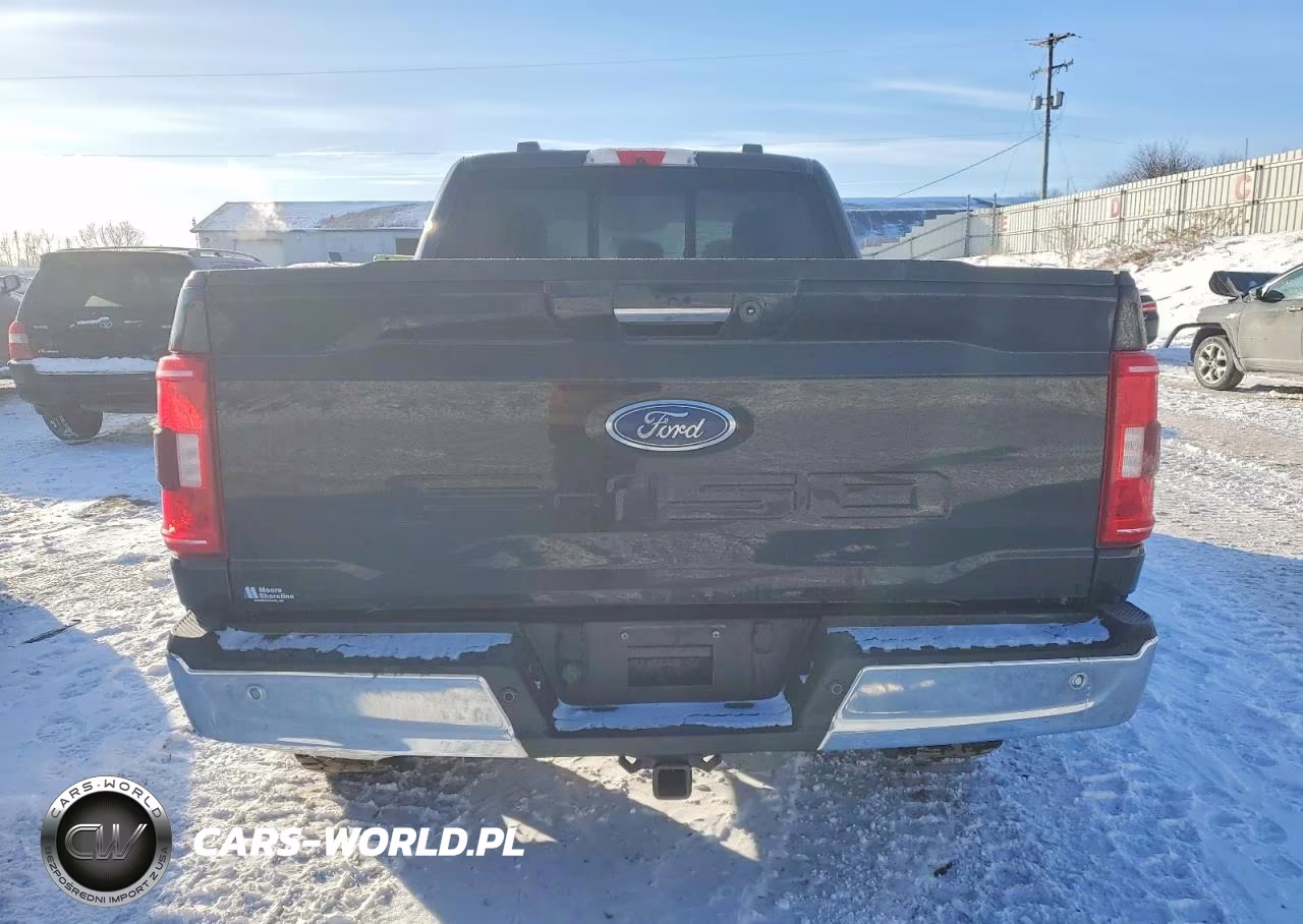2021 Ford F150 Supercrew VIN:1FTFW1E53MFC79045 - 6