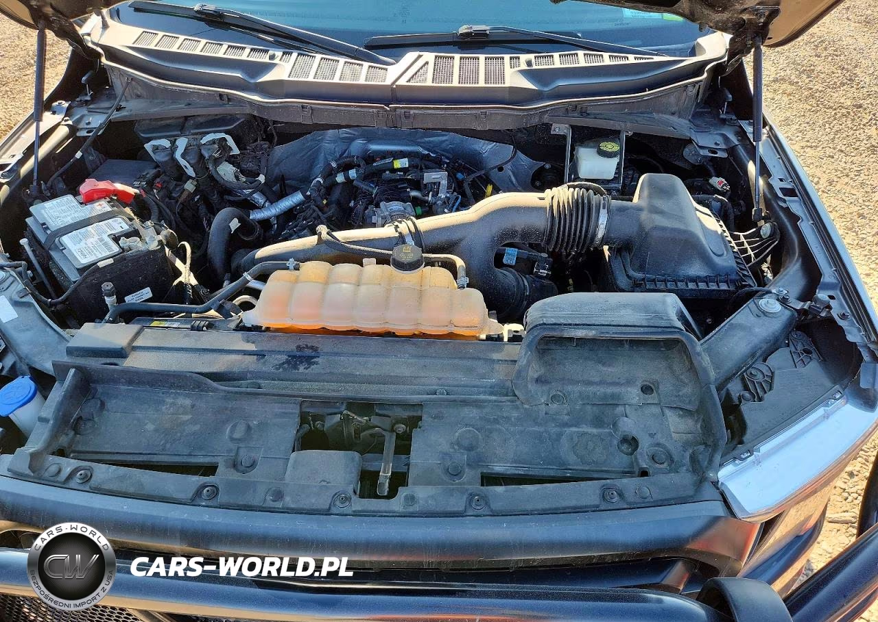2021 Ford F150 Supercrew VIN:1FTEW1EP0MFA35933 - 11