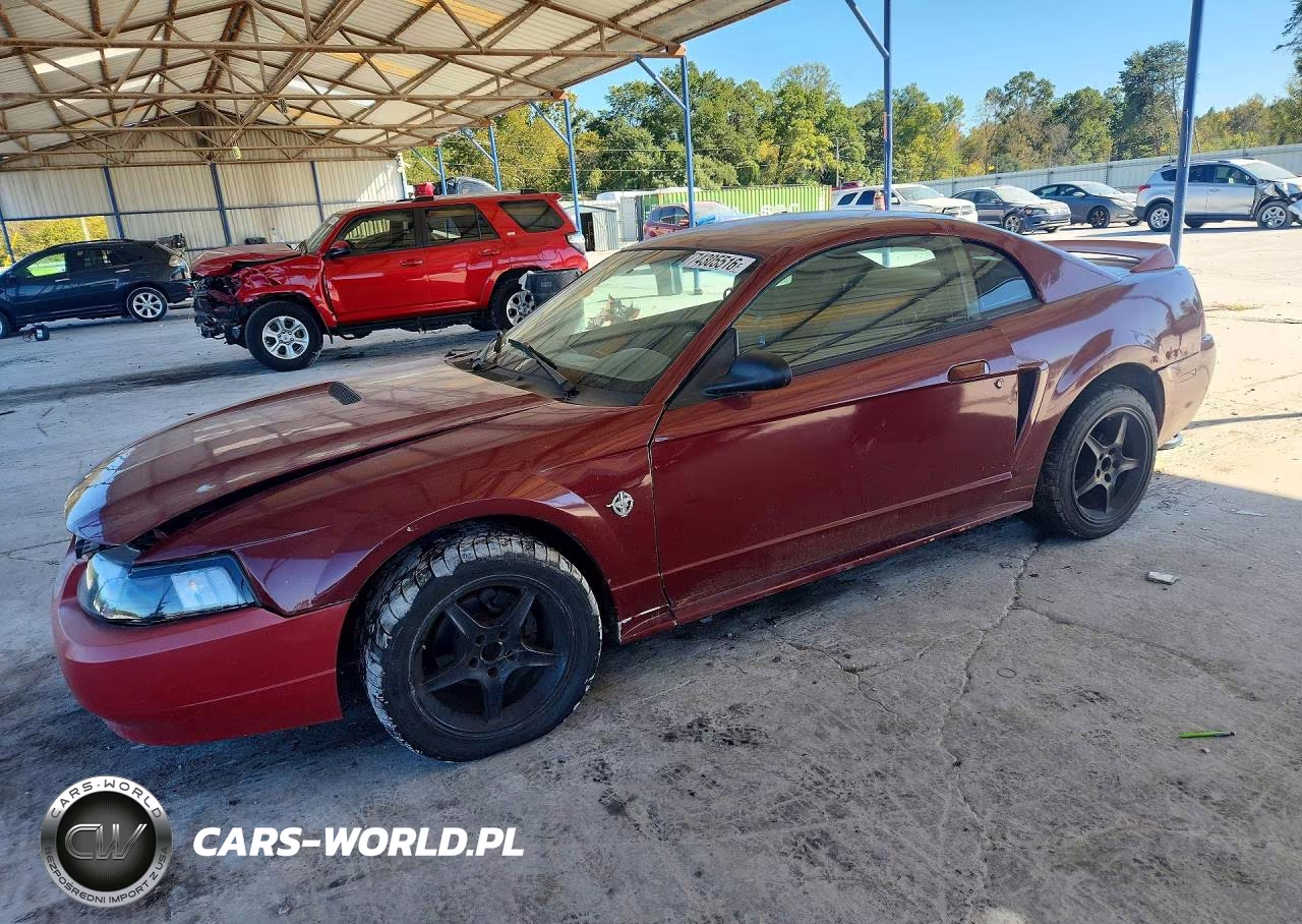 1999 Ford Mustang VIN:1FAFP4042XF226411 - 1