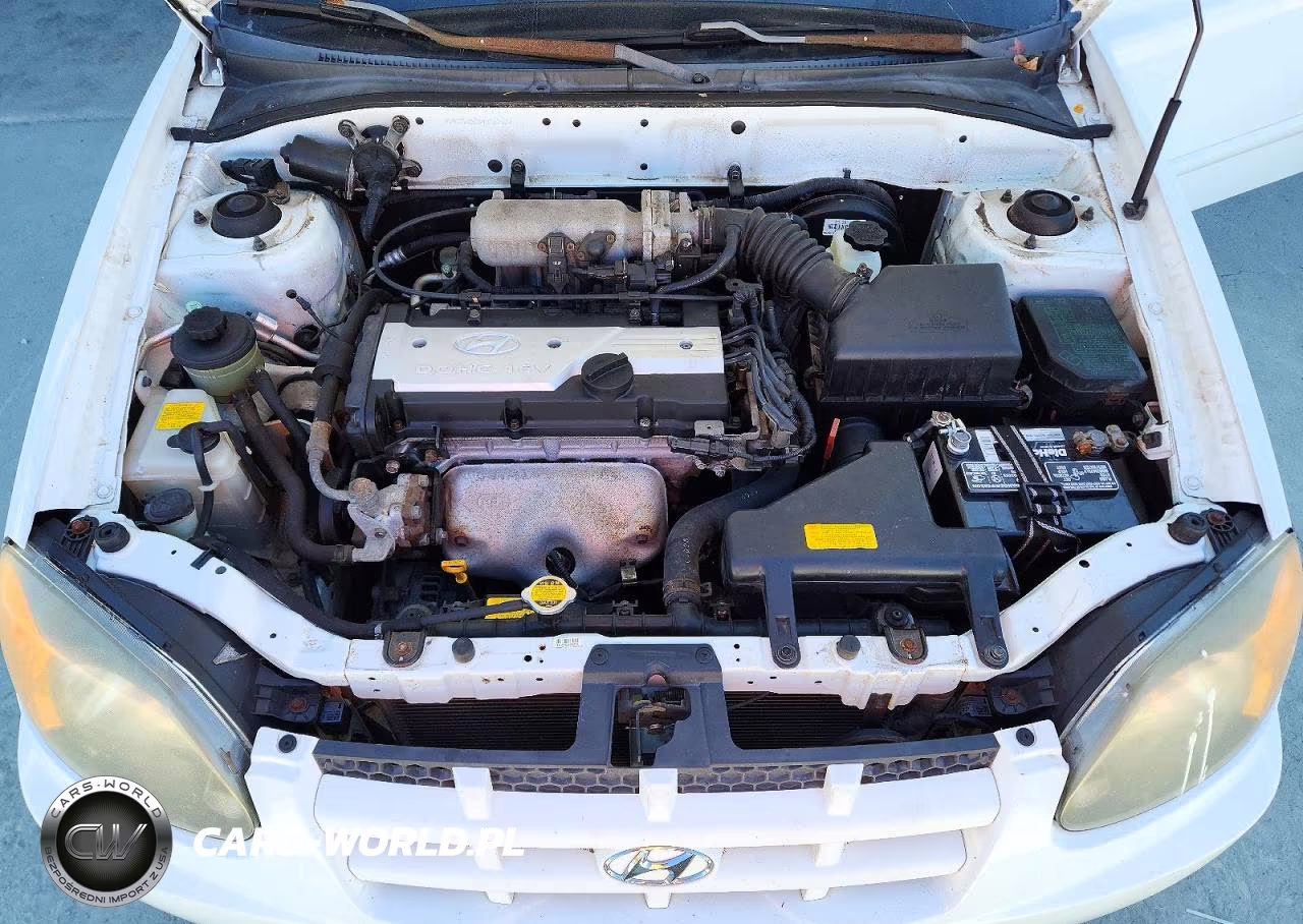 2004 Hyundai Accent Gl VIN:KMHCG45C84U567604 - 11