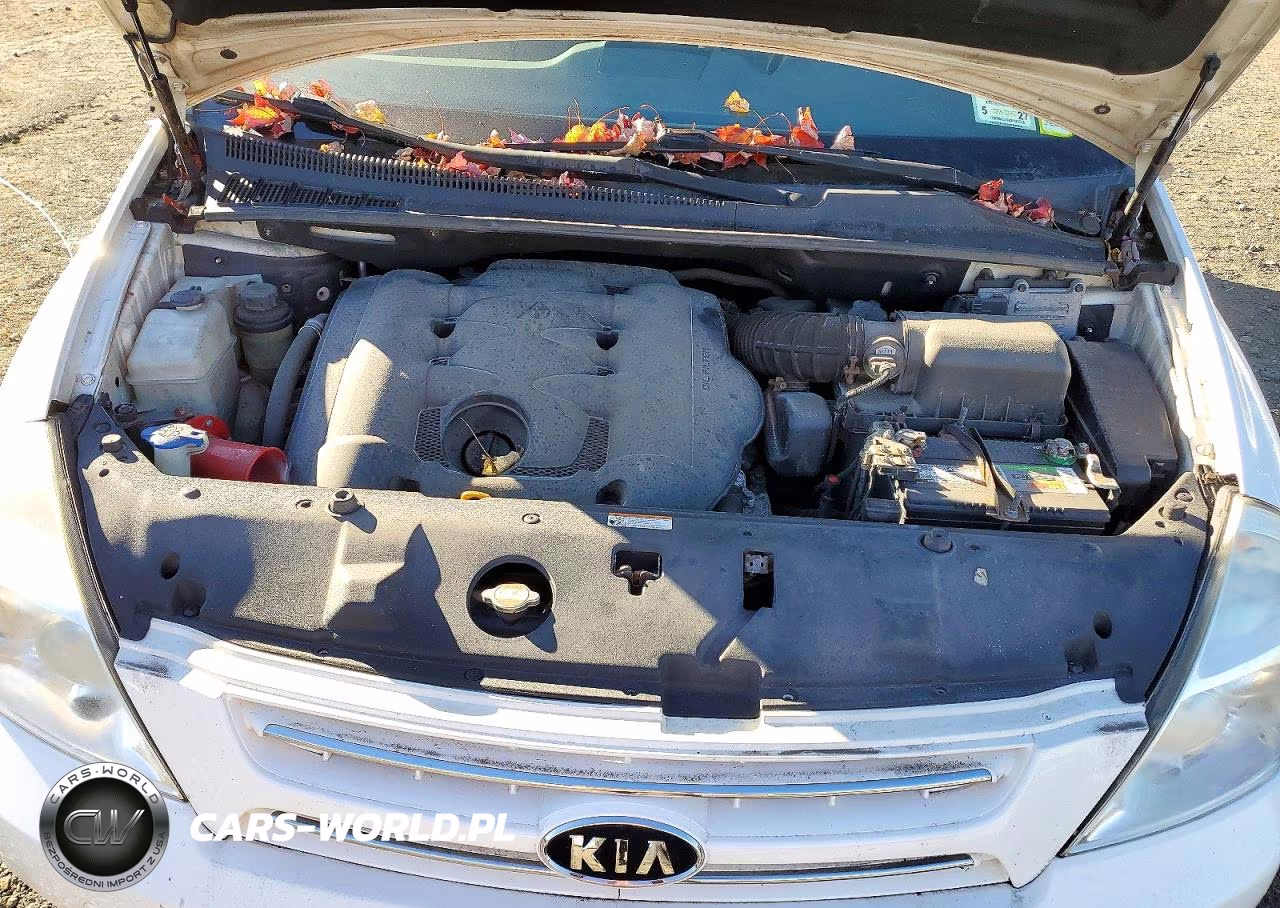 2008 Kia Sedona Lx VIN:KNDMB233886210190 - 12