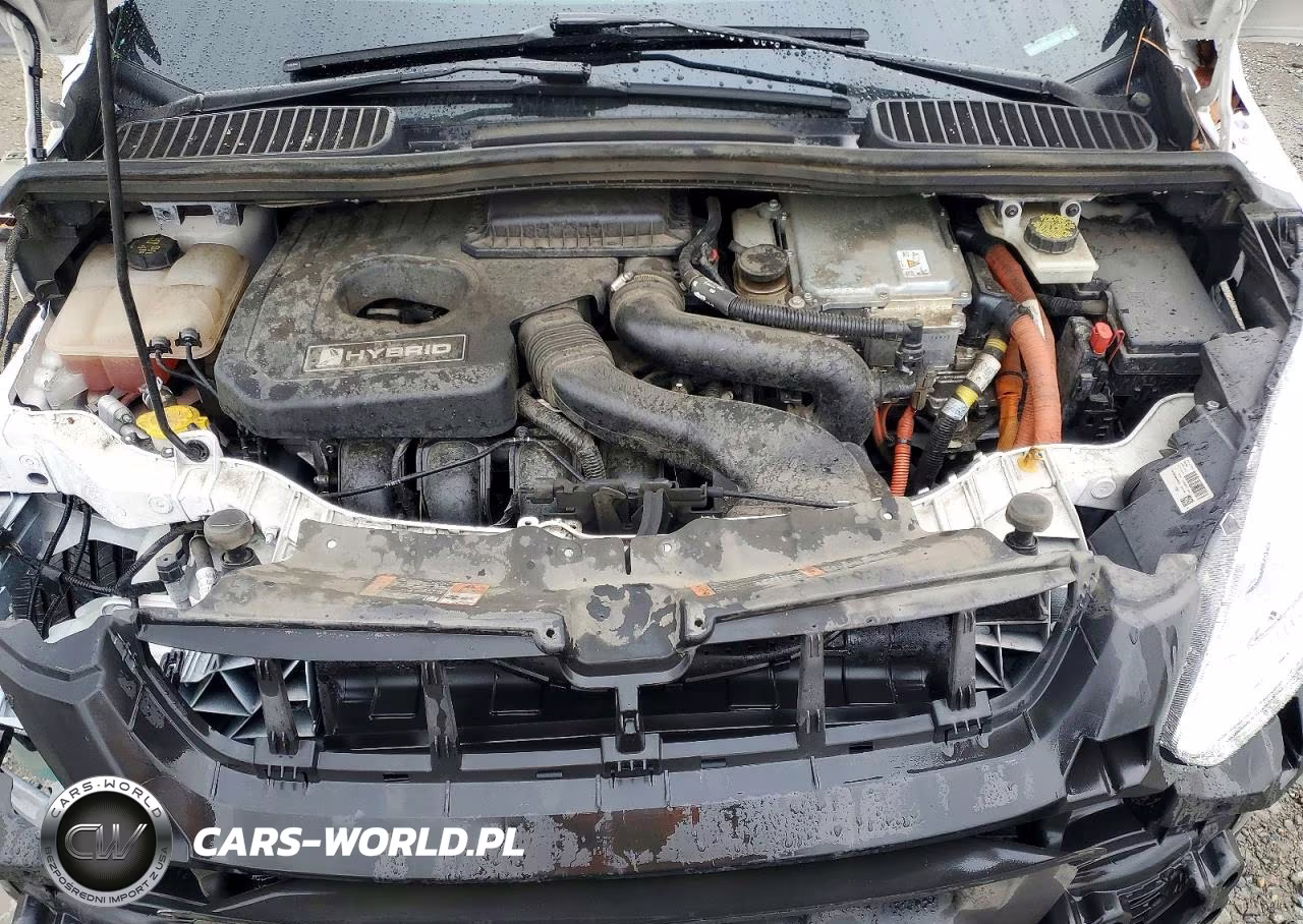 2018 Ford C-Max Se VIN:1FADP5AU7JL101943 - 12
