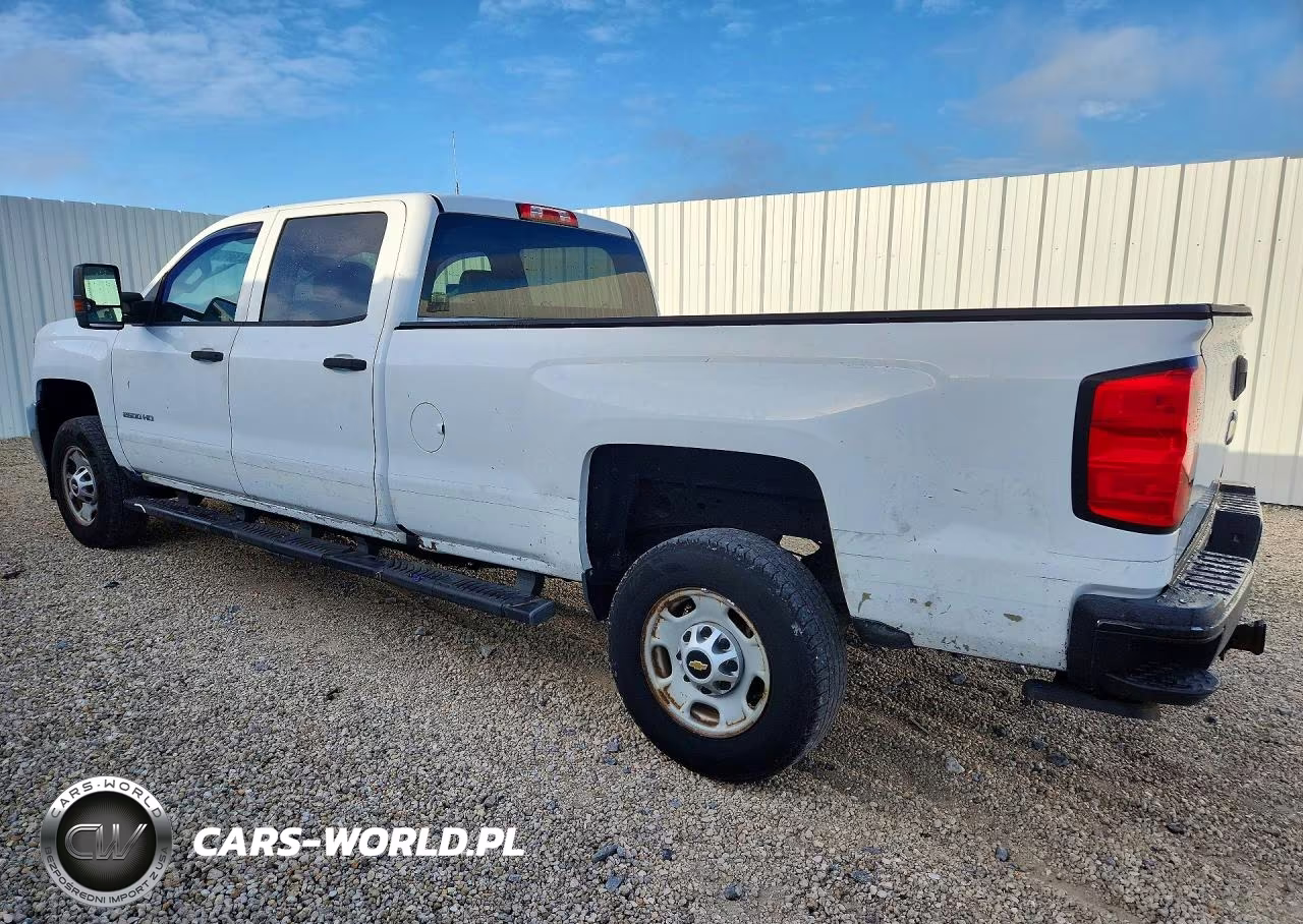 2019 Chevrolet Silverado C2500 Heavy Duty VIN:1GC1CREGXKF191156 - 2
