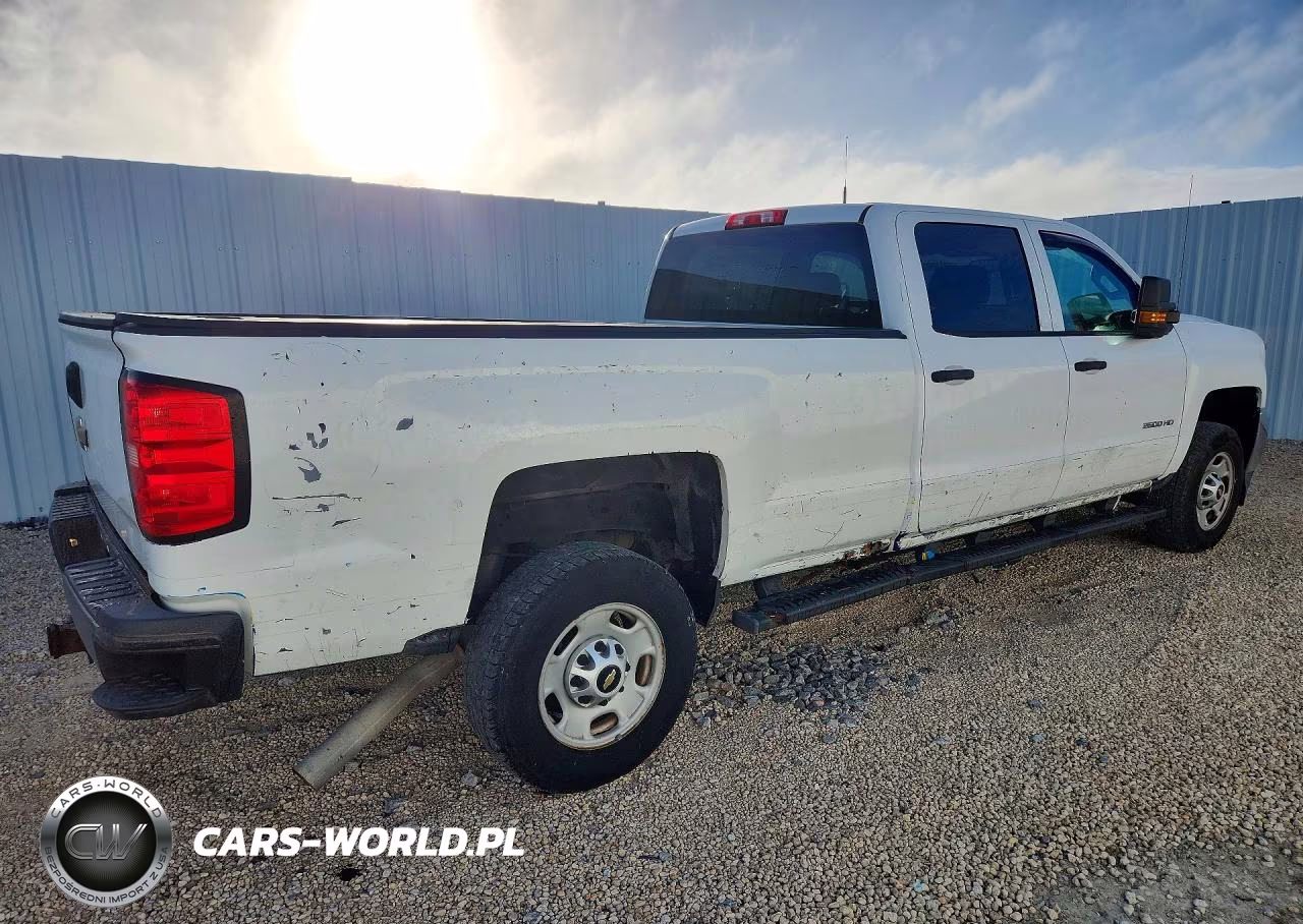 2019 Chevrolet Silverado C2500 Heavy Duty VIN:1GC1CREGXKF191156 - 3