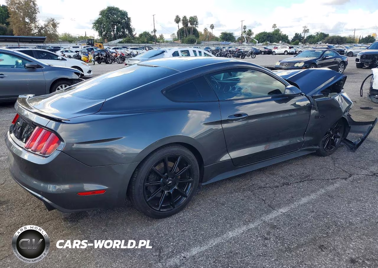 2016 Ford Mustang Gt VIN:1FA6P8CF9G5256953 - 3