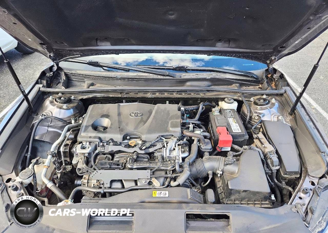 2020 Toyota Camry Le VIN:4T1C11AKXLU884618 - 11