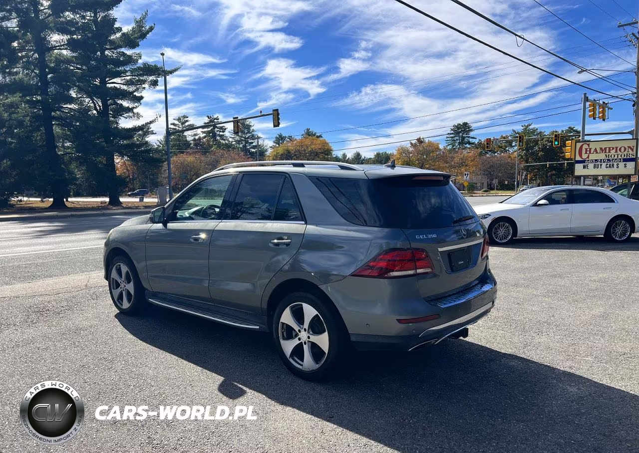 2017 Mercedes-Benz Gle 350 VIN:4JGDA5JB1HA875732 - 3