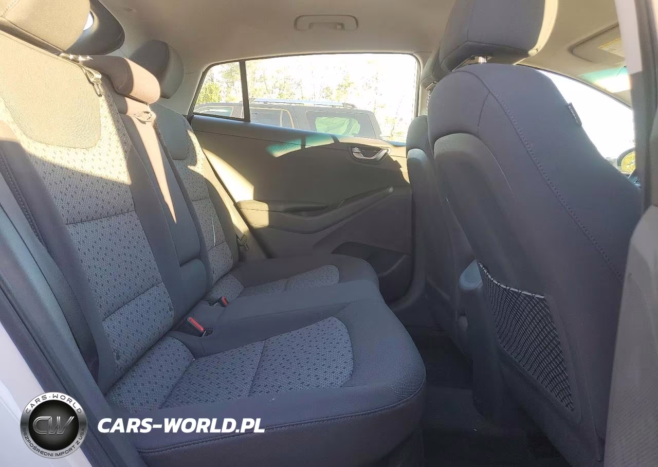 2018 Hyundai Ioniq Sel VIN:KMHC75LC1JU097906 - 10