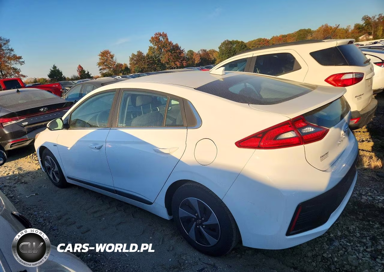 2018 Hyundai Ioniq Sel VIN:KMHC75LC1JU097906 - 2