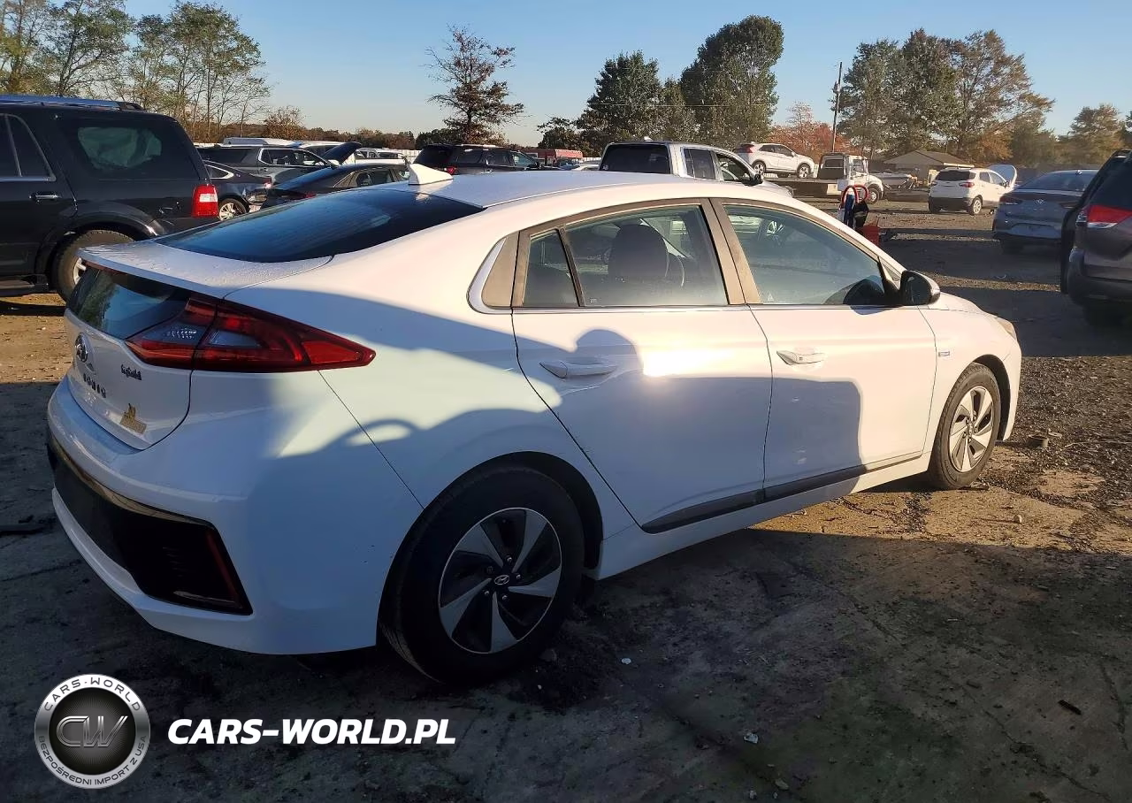 2018 Hyundai Ioniq Sel VIN:KMHC75LC1JU097906 - 3