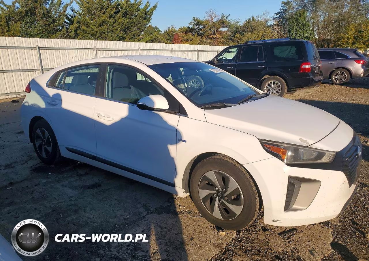 2018 Hyundai Ioniq Sel VIN:KMHC75LC1JU097906 - 4