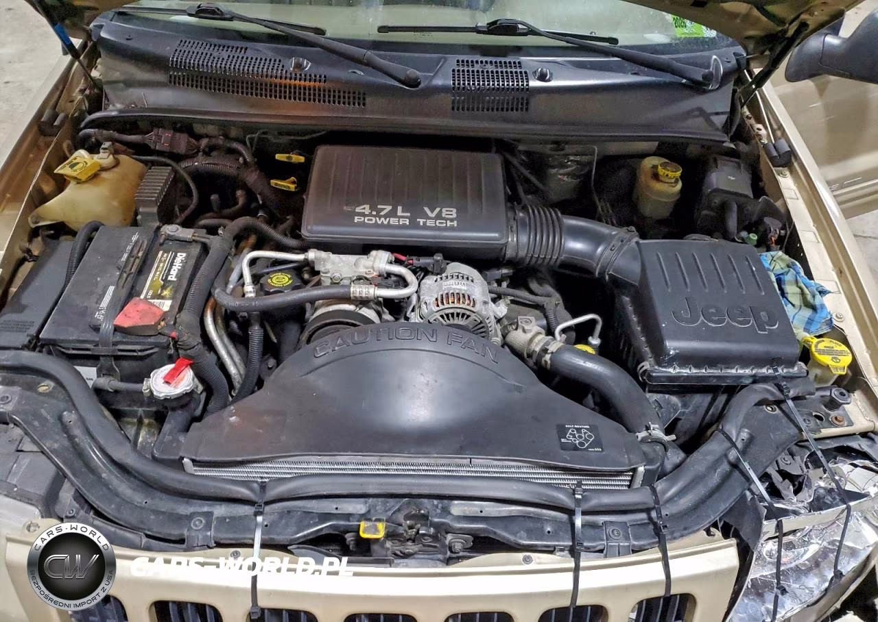 1999 Jeep Grand Cherokee Limited VIN:1J4GW68N3XC789327 - 12