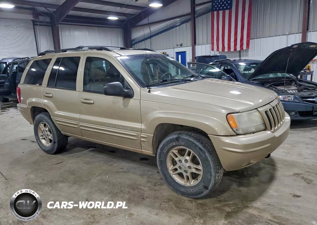 1999 Jeep Grand Cherokee Limited VIN:1J4GW68N3XC789327 - 4